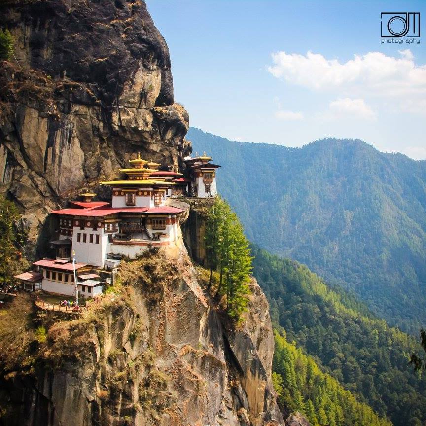 13029502_1198669863478841_984455227413097068_o