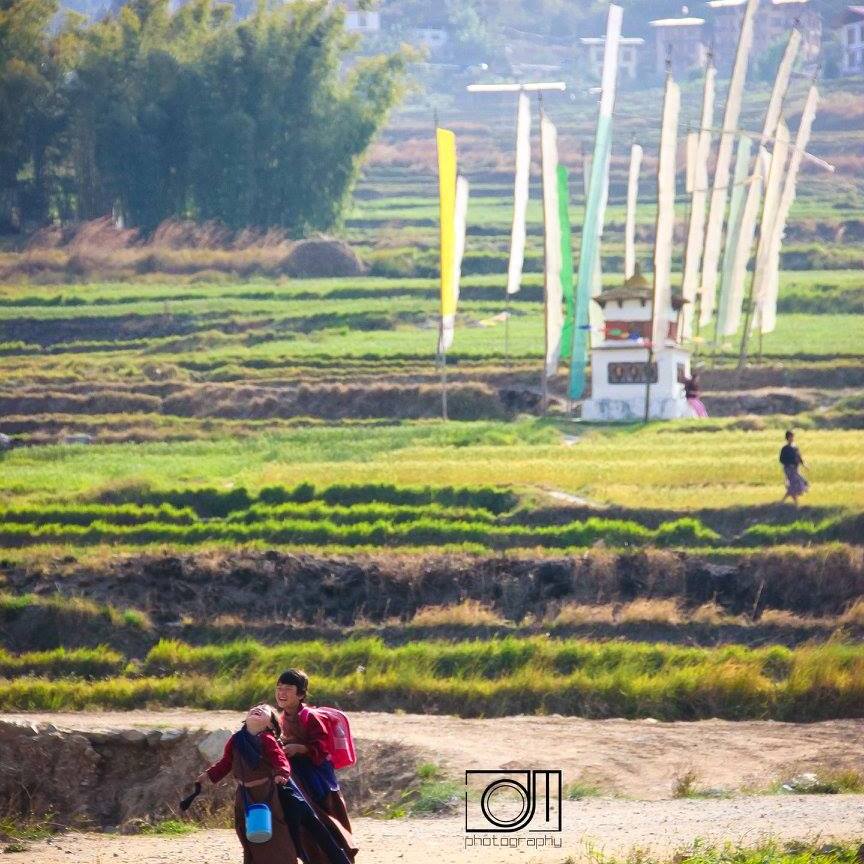 13063019_1198669990145495_662951634391885844_o